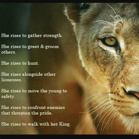 25 Lioness Quotes to Empower Women。